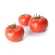 Дофу F1 насіння томату томата індет. (Rijk Zwaan)