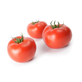Дофу F1 насіння томату томата індет. (Rijk Zwaan)