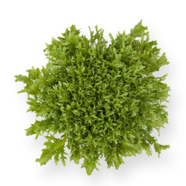 Ендівій Корбі