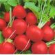 Корунд семена редиса (Satimex)