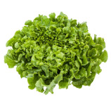 Салат Анкони