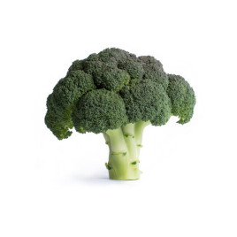 Капуста брокколи Ларсон F1