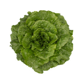 Салат Тацитус