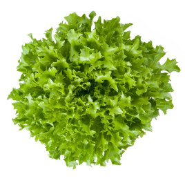 Салат Екстемп