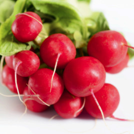 Медисон F1 семена редиса раннего 18-23 дн. (LibraSeeds)
