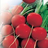 Илка семена редиса (Satimex)