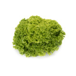 Салат Лімасол (Limassol RZ)