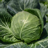 Капуста Феліссіма F1 (калібр.) 