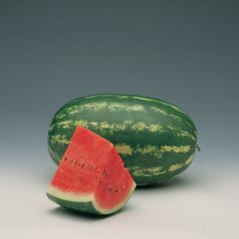 Кавун Фарао F1