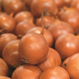 Цибуля Банко 