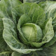 Капуста Джетодор F1