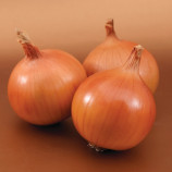 Братко F1 семена лука репчатого (Syngenta)