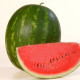 Каристан F1 семена арбуза тип кр.св. среднего 80-82 дн. 9-12 кг овал. (Syngenta)