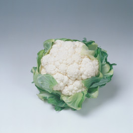 Лекану F1 (Ликану F1) семена капусты цветной средней 75-80 дн. 2-2,5 кг бел. (Syngenta)