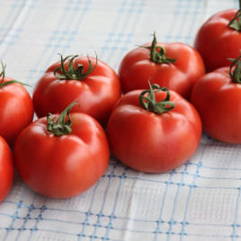 Бодерин F1 семена томата индет. (Syngenta)