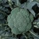 Макларен F1 семена капусты брокколи средней 80-85 дн. (Syngenta)
