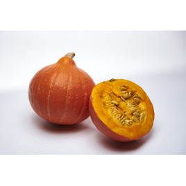 Колинки F1 семена тыквы тип Хоккайдо ранней 70-75 дн. 1,5 кг (Sakata)