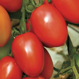 Гранадеро F1 семена томата индет. раннего 100-110 дн. слив. 140-150 гр. красный (Enza Zaden)