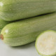 Марселла F1 семена кабачка среднераннего 48-53 дн. 200-400 гр. 16-18 см (Enza Zaden)