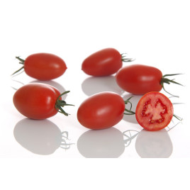 Океано F1 насіння томату індет. середньораннього слив. 140-160 гр. червоного (Sakata)