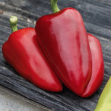 Кантатта F1 семена перца сладкого тип Венгерский раннего 170-200 гр. 6х15 см св.-зел./красн. (Enza Zaden)