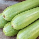 E28T00358 F1 семена кабачка (Enza Zaden)