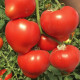 Арон F1 семена томата индет. раннего с носик. 240-260 гр. красный (Enza Zaden)