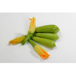 Хиба F1 семена кабачка ультрараннего 30-35 дн. светло-зеленого (Sakata)