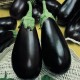 Блек Перл F1 семена баклажан раннего удл.-цил. 300 гр. (Enza Zaden)