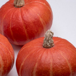 Брайт Саммер F1 семена тыквы тип Ред Кури ультраранней 75-80дн. 0,9-1,1кг (Enza Zaden)