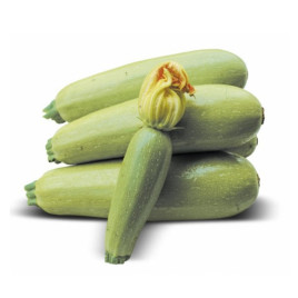 Муфаса F1 семена кабачка (Lark Seeds)