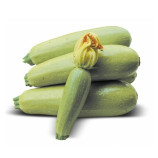 Муфаса F1 семена кабачка (Lark Seeds)