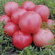 Томат Пінк Світнес F1