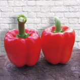 Том F1 семена перца сладк. раннего 60 дн. 250-300 гр. (Lark Seed)