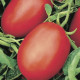 Рио Фуего семена томата дет. (Lark Seeds)