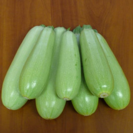 Немо F1 семена кабачка (Lark Seeds)