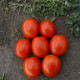 1807 F1 семена томата дет. среднераннего 110-120 дн. слив. 80-90 гр. красный (Spark Seeds)