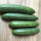 Пис F1 (Pis F1) семена огурца партенокарп. раннего 45 дн. 16-18 см (Spark Seeds)