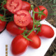 9905 F1 семена томата дет. среднего 110-115 дн. слив. 80-100 гр. красный (Spark Seeds)