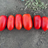 Драй F1 семена томата дет. раннего 95-100 дн. слив. 120-140 гр. красный (Spark Seeds)