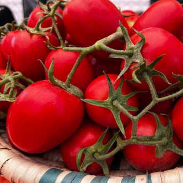 Ханна F1 семена томата дет. раннего 95-100 дн. слив. 130-150 гр. красный (Innova Seeds)