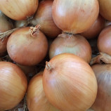 Цибуля Стартер F1