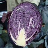 Розера F1 семена капусты к/к поздней 120-125 дн. 2-3 кг окр. (Hazera)