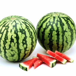 Оцелот F1 насіння кавуна раннього (Hazera)