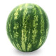 Арбуз Фелип F1