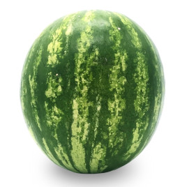 Кавун Феліп F1 