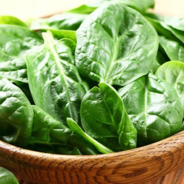 Матадор семена шпината (Moravoseed)