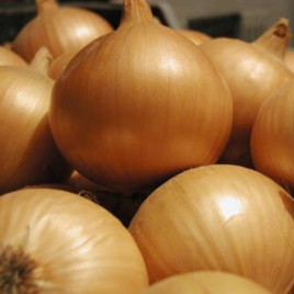 Цибуля Оліна 