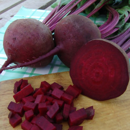 Бетіна насіння буряка столового (Moravoseed)