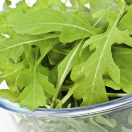 салат руккола рокет